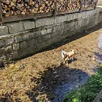 Urlaubsmagie - Tagtraum - Garten Mit Terrasse & Saisonaler Pool * Sebnitz