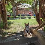 Urlaubsmagie - Ferienwohnung Tagtraum - Garten Mit Terrasse & Saisonaler Pool *