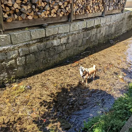 H4 - Urlaubsmagie - Kleiner Wohlfuehlort Mit Pool * Sebnitz