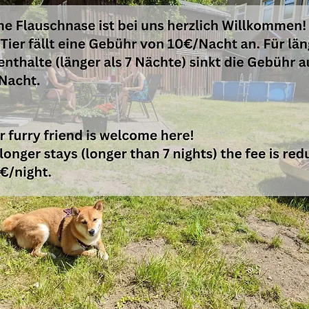 Holiday home Urlaubsmagie - Ferienwohnung Tagtraum - Garten Mit Terrasse & Saisonaler Pool