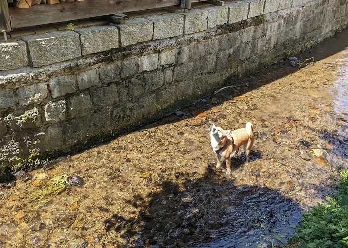 H4 - Urlaubsmagie - Kleiner Wohlfuehlort Mit Pool * Sebnitz
