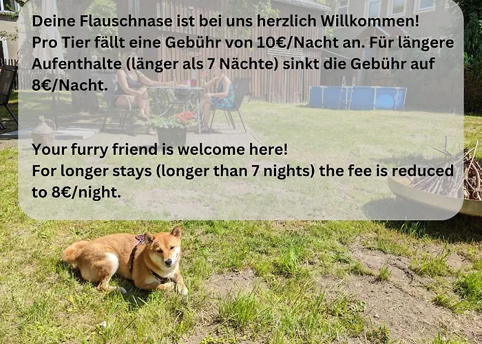 Feriehus H4 - Urlaubsmagie - Kleiner Wohlfuehlort Mit Pool